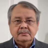 Picture of পল্লব বসুমল্লিক